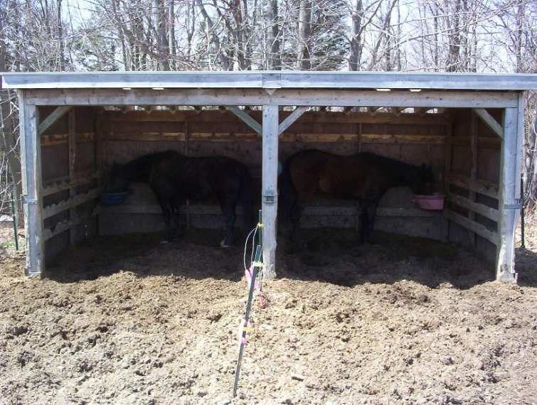Horse Lean to Shelter Plans