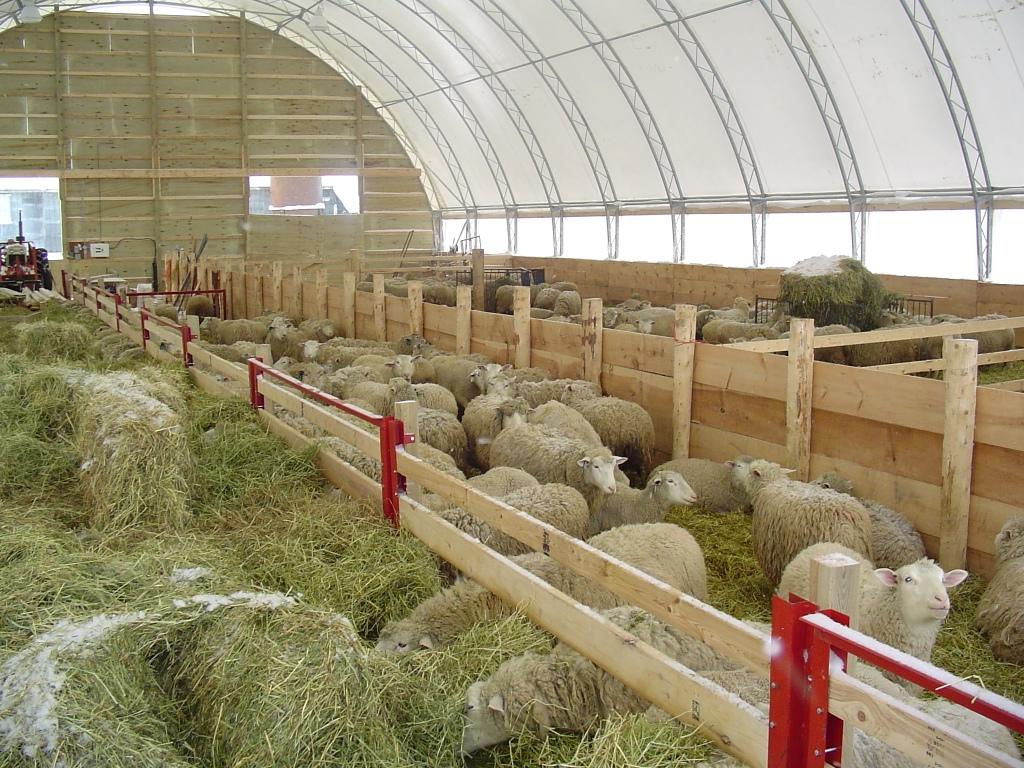 Sheep Barn Plans Designs