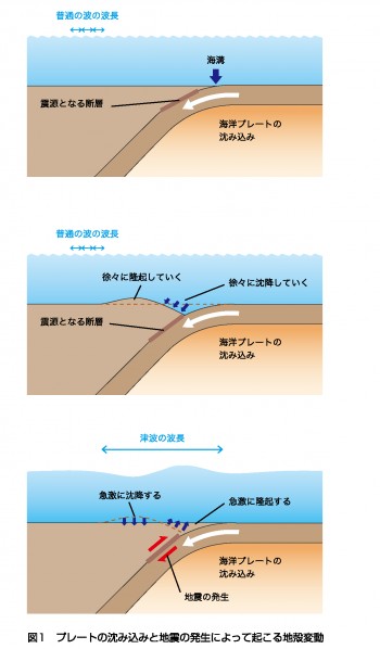 tsunami-e1280818483515.jpg