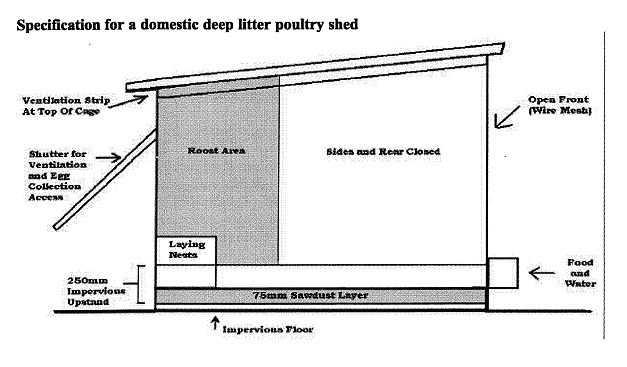 Shed |Poultry Shed Plans Construction of a poultry shed-flexible 