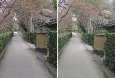 京都嵐山平行法立体写真