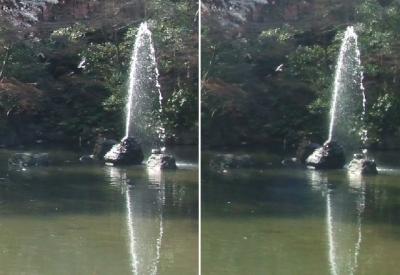 円山公園平行法立体写真アップ