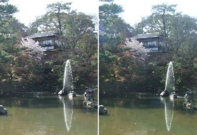 円山公園平行法立体写真