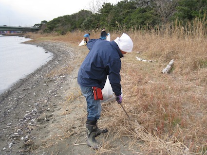 2013年1月5日干潟清掃で「渡り鳥サポーターになろう！」⑤