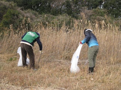 2013年1月5日干潟清掃で「渡り鳥サポーターになろう！」④