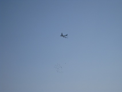 2013年3月2日干潟清掃で「渡り鳥サポーターになろう！」見上げた先には、飛行機と渡り鳥たち⑪