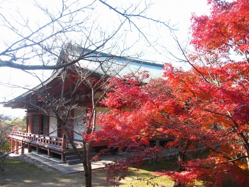 太山寺　本堂