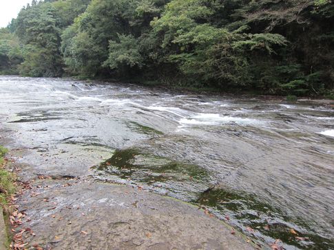 スノピ ランドロックで秋の『遊水狭』キャンプ　カッパ滝目指して散策 in 九州熊本阿蘇郡小国町12