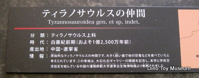 城西大学水田記念博物館 大石化石ギャラリー