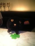 黒猫カフェ‏4