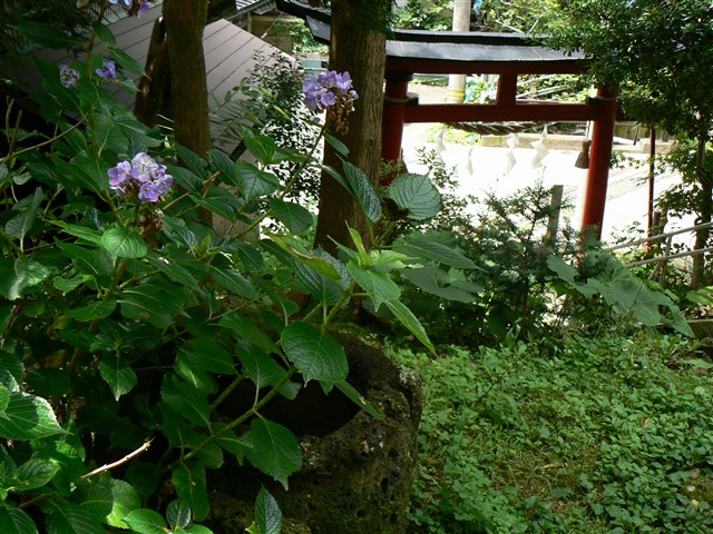 台温泉神社