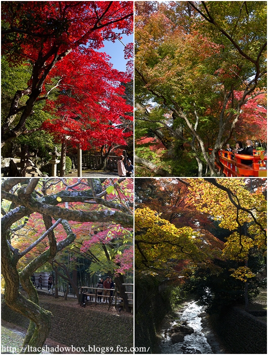 kyoto2014.jpg