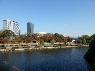 s-2012.11.19　大阪城　05