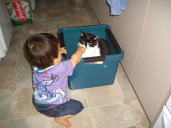 201212息子と猫
