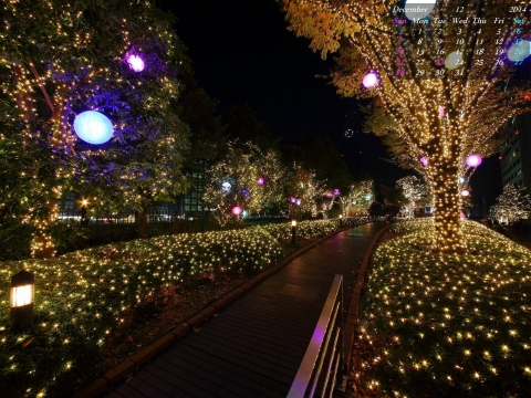2014年12月　無料壁紙　新宿　クリスマスイルミネーション