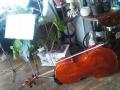 a cello