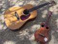 guitar & ukulele
