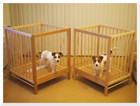 スチール 求人 紫の 犬 ベッド Ikea Turugaya Kibouen Jp