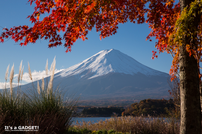富士山とモミジ