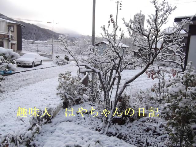 2011.12.10　朝.JPG