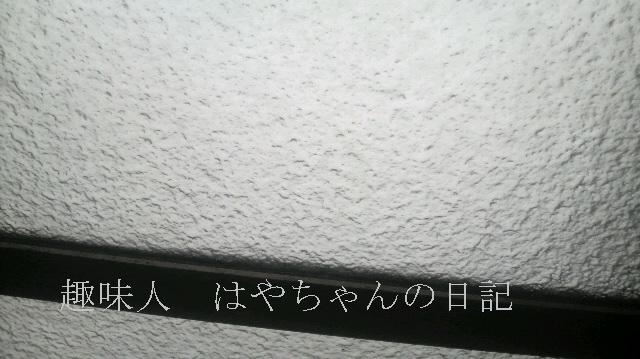 2011.11.21　初雪.JPG