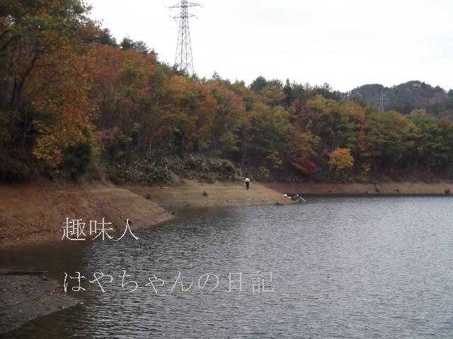 2011.11.3　前川ダム　管理事務所南側.JPG