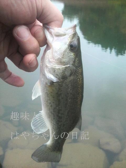 2011.1023　花森湖.JPG