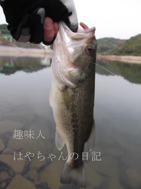 2011.10.30　花森湖にて.JPG