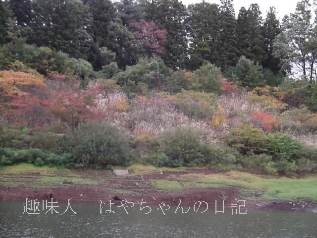 ２０１１年１０月１５日　花森湖にて　秋色.JPG