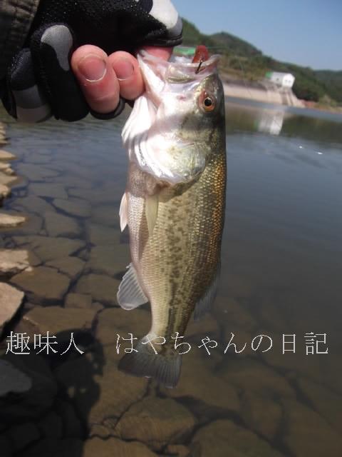 2011.10.9 花森湖にて.JPG
