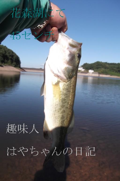 2011年9月7日　花森湖にて　45センチ.JPG