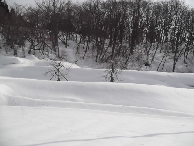 2011年2月20日　蔵王雪景色.JPG