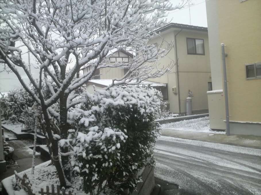 2010,12,16雪.JPG