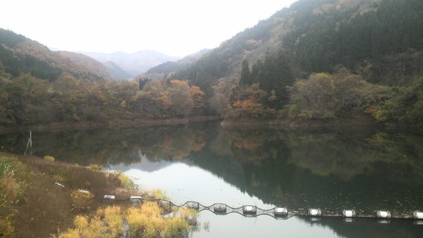 菖蒲川ダム.JPG