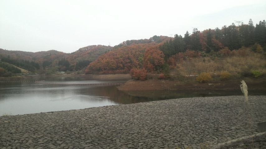 11月14日　花森湖.JPG