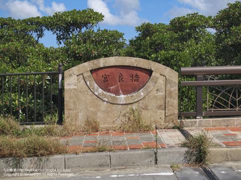 石垣島のマングローブ