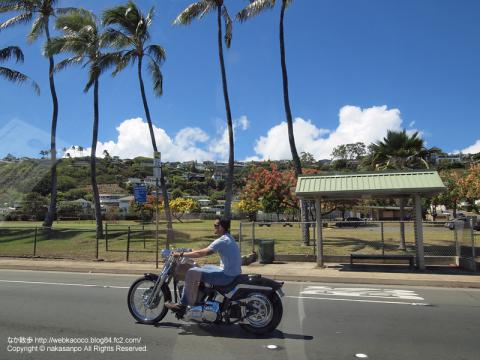 ハワイで撮った写真