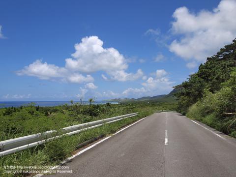 石垣島の県道206号線の風景