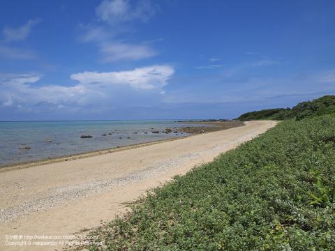 沖縄の石垣島の写真