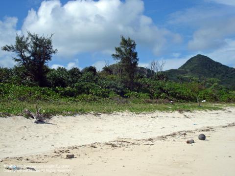 石垣島の伊原間の近くのビーチの写真