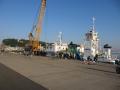 今朝は腰越港にテトラポットを運ぶクレーン船が停泊していて、先端部以外は釣りになりませんでした。