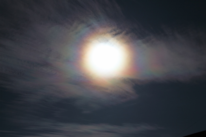 真昼の彩雲 (800x533)